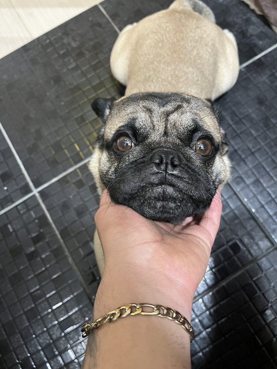 seth moon (@sethmoon3) on Twitter photo 