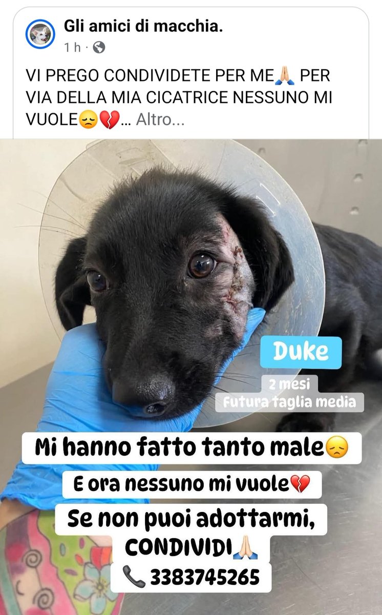 Per favore 🙏💔😢
facebook.com/share/p/16fWKq…