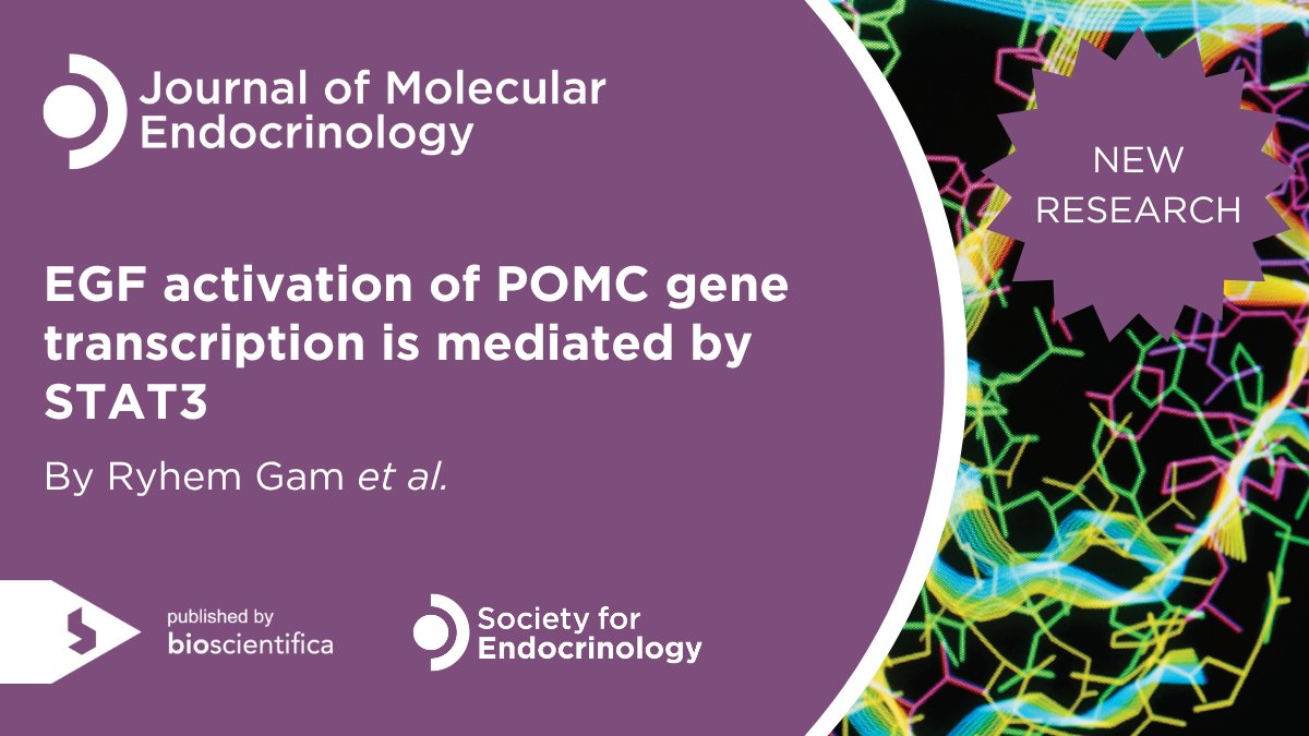 🆕New research by <a href="/ryhem_gam/">Ryhem Gam</a> et al. identifies a unique STAT3-dependant target on the POMC promoter, revealing STAT3 as a key mediator of EGF activation of POMC gene transcription.

👉Subscribers can discover more by reading the full article: doi.org/10.1530/JME-25…