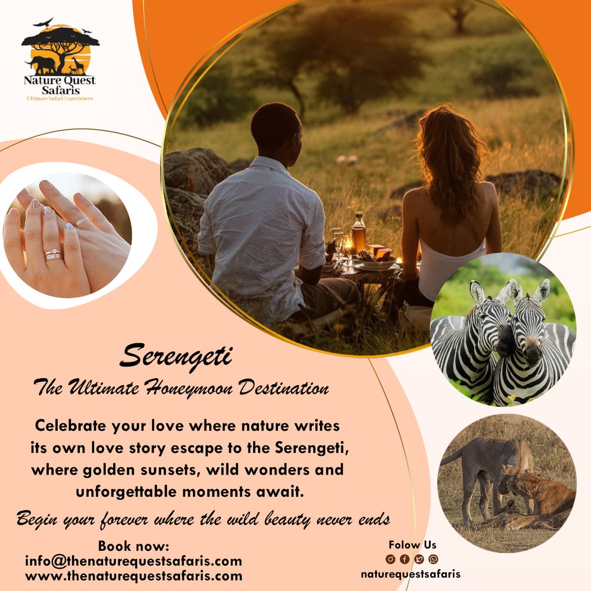 Naturequesttz's tweet photo. 🌅Serengeti
The Ultimate Honeymoon Destination Celebrate your love where nature writes its own love story.Experience golden sunsets, wild wonders, and unforgettable moments together.
Begin your forever where the wild beauty never ends!💖

Book now: info@thenaturequestsafaris.com https://t.co/lC4DDPDJBi