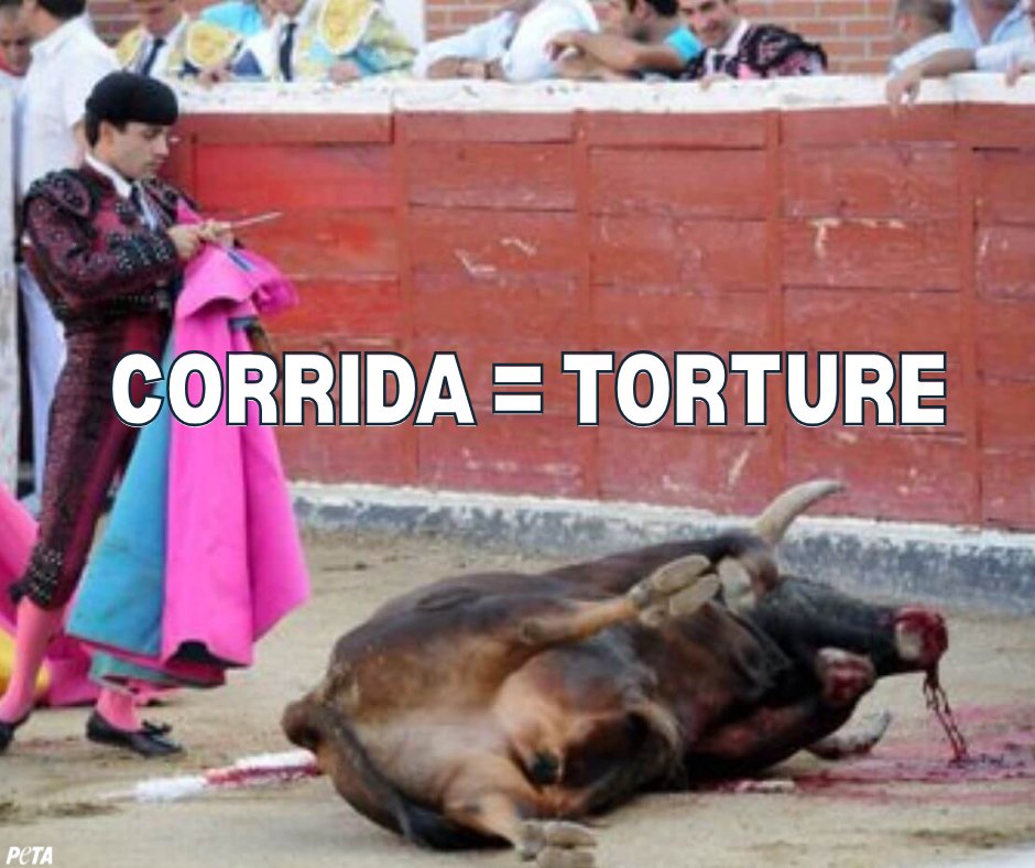 La corrida n'est pas un divertissement, c'est un massacre rituel d'un animal sans défense. 🐂