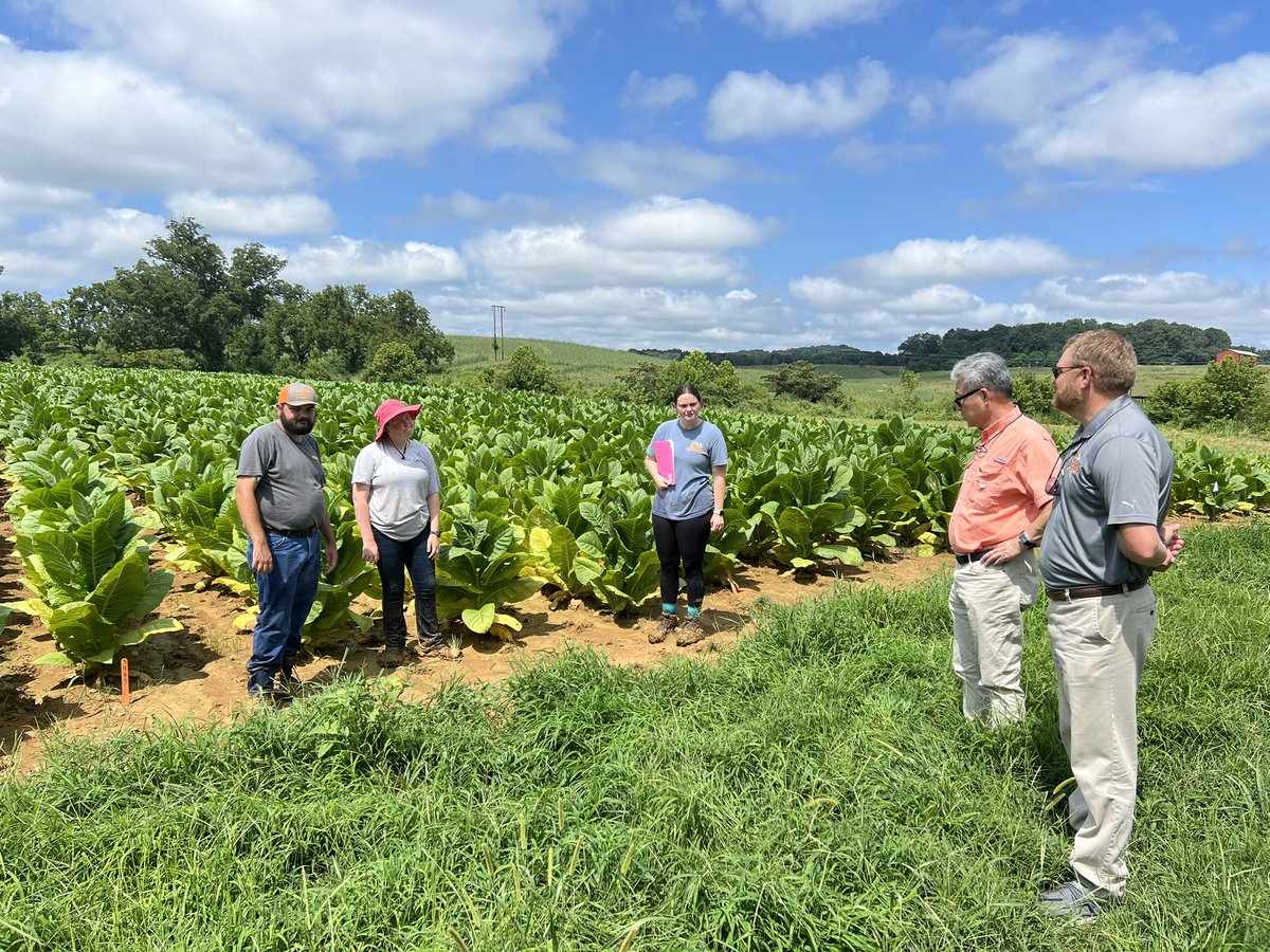 There’s no better educational experience than getting your hands dirty! Loved being with <a href="/UT_Herbert/">Herbert College of Agriculture</a> students working tobacco research plots in Greeneville yesterday. <a href="/UTAgResearch/">UT AgResearch</a> <a href="/UTIAg/">UT Institute of Agriculture</a>