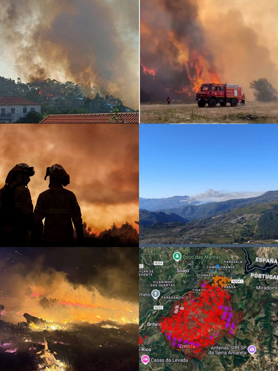 A maxia do Xurés tweet media