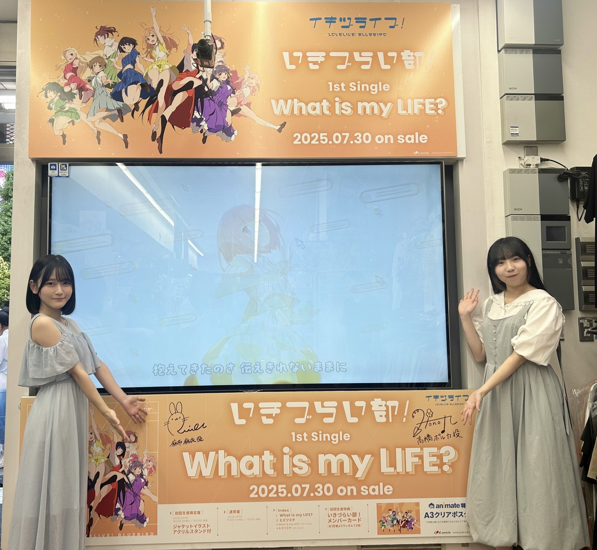hii様アイボリー1 Amazon | ライブディオ ZX AF35 リアウイング リアスポイラー