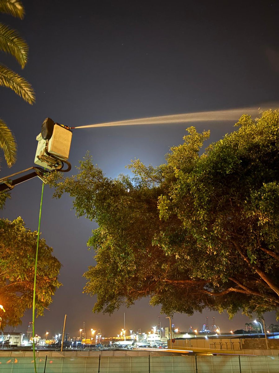 ☀️Avanza el verano, y con él, ¡también los trabajos de Parques y Jardines!  

Semanas de cuidado de árboles y reverdecimiento de la ciudad🧵👇