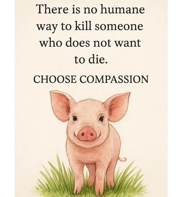 FuckForForest.org - Official 🔞 (@ffftribe) on Twitter photo 