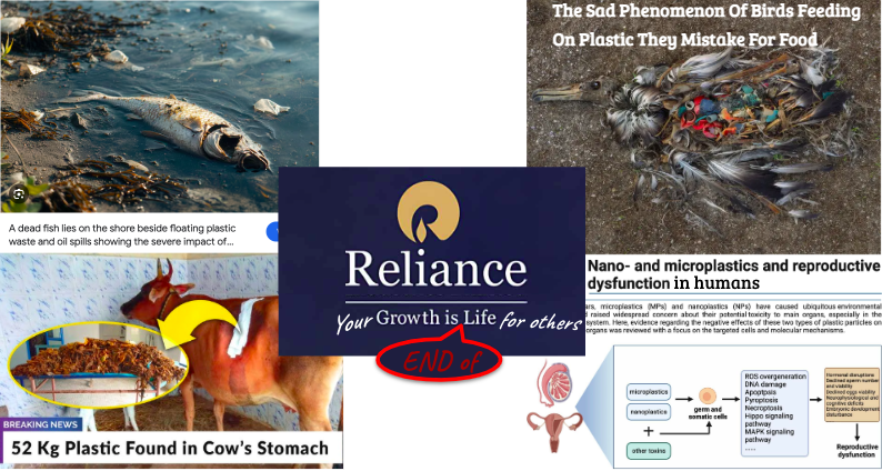 NHF INDIA tweet media