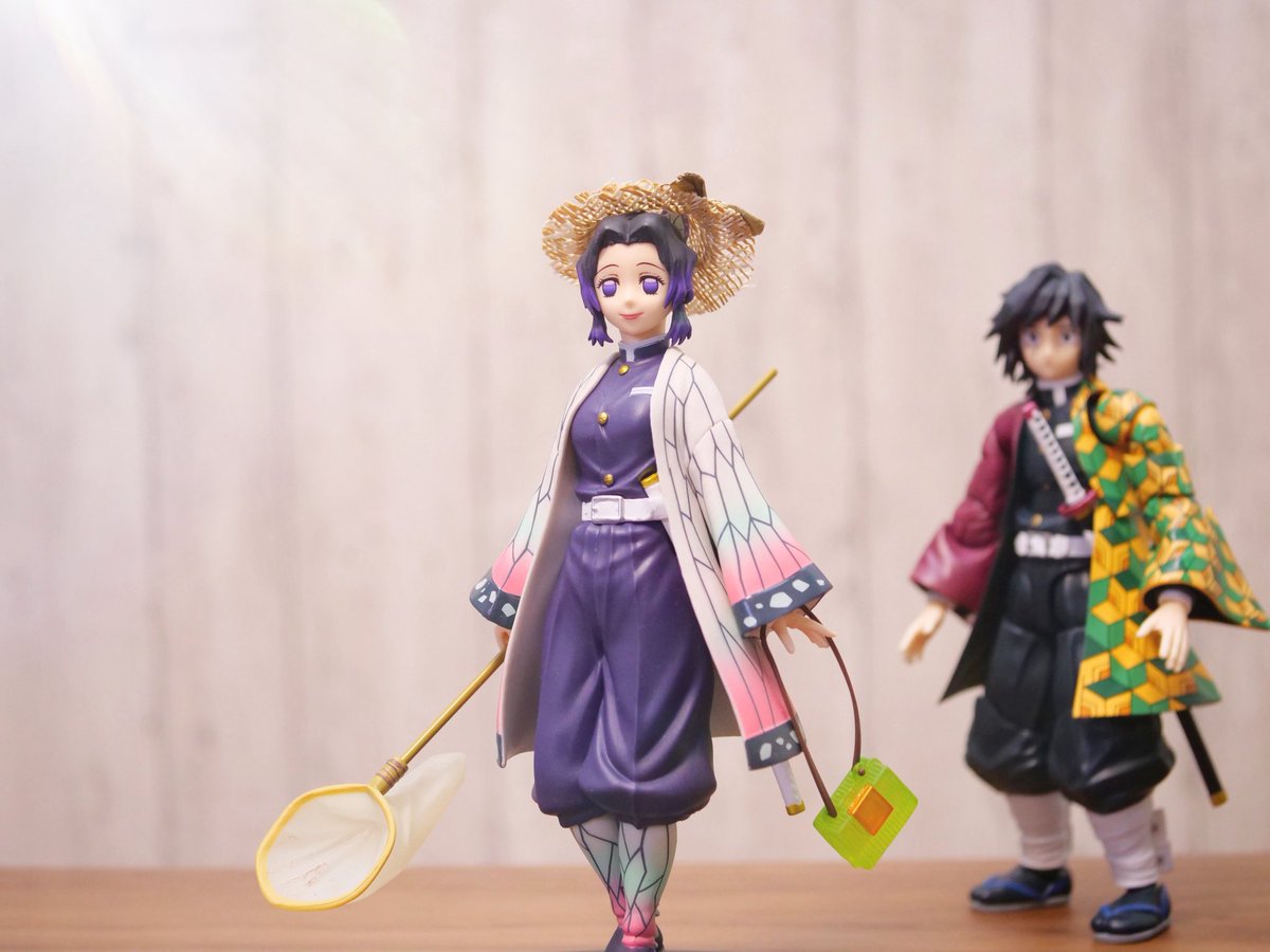 早く行きますよ冨岡さん
急がないと蝶が逃げてしまいます