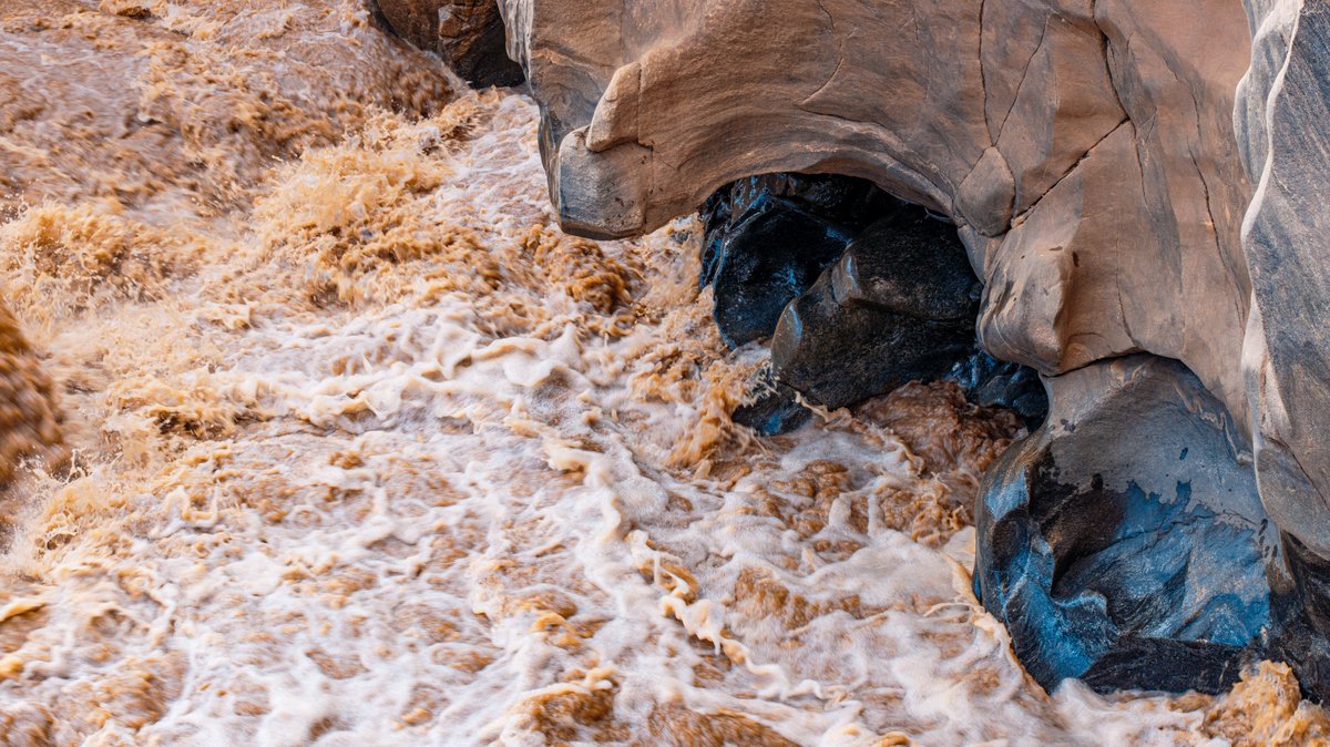 Textures from Samburu.

📍Mathews Range area