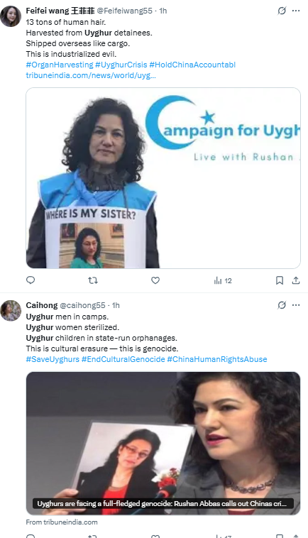 LOL! <a href="/RushanAbbas/">Rushan Abbas</a>, did you know that the trolls are spreading your propaganda and propagating you as a Uyghur fighter?