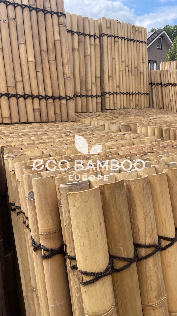 DeSplinter's tweet image. 📣 NET BINNEN – GIGANTISCHE BAMBOE-SALE BIJ DE SPLINTER! 🌿
📍 Industrieweg 121 – Terborg

120x90 cm ‼️ AANBIEDING ‼️

Vandaag gelost: een volle container vol supermooie bamboeschermen in alle populaire varianten:
🟢 Moso Bamboo
⚫️ Black Bamboo
💪 Super prijs