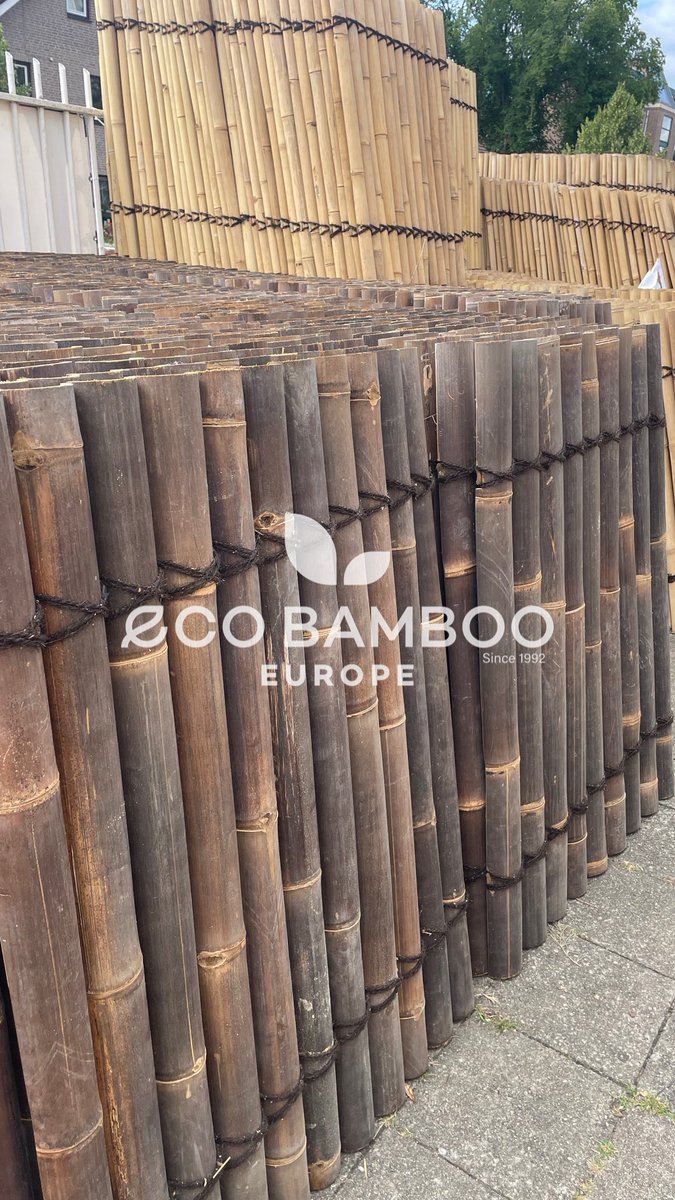 DeSplinter's tweet image. 📣 NET BINNEN – GIGANTISCHE BAMBOE-SALE BIJ DE SPLINTER! 🌿
📍 Industrieweg 121 – Terborg

120x90 cm ‼️ AANBIEDING ‼️

Vandaag gelost: een volle container vol supermooie bamboeschermen in alle populaire varianten:
🟢 Moso Bamboo
⚫️ Black Bamboo
💪 Super prijs