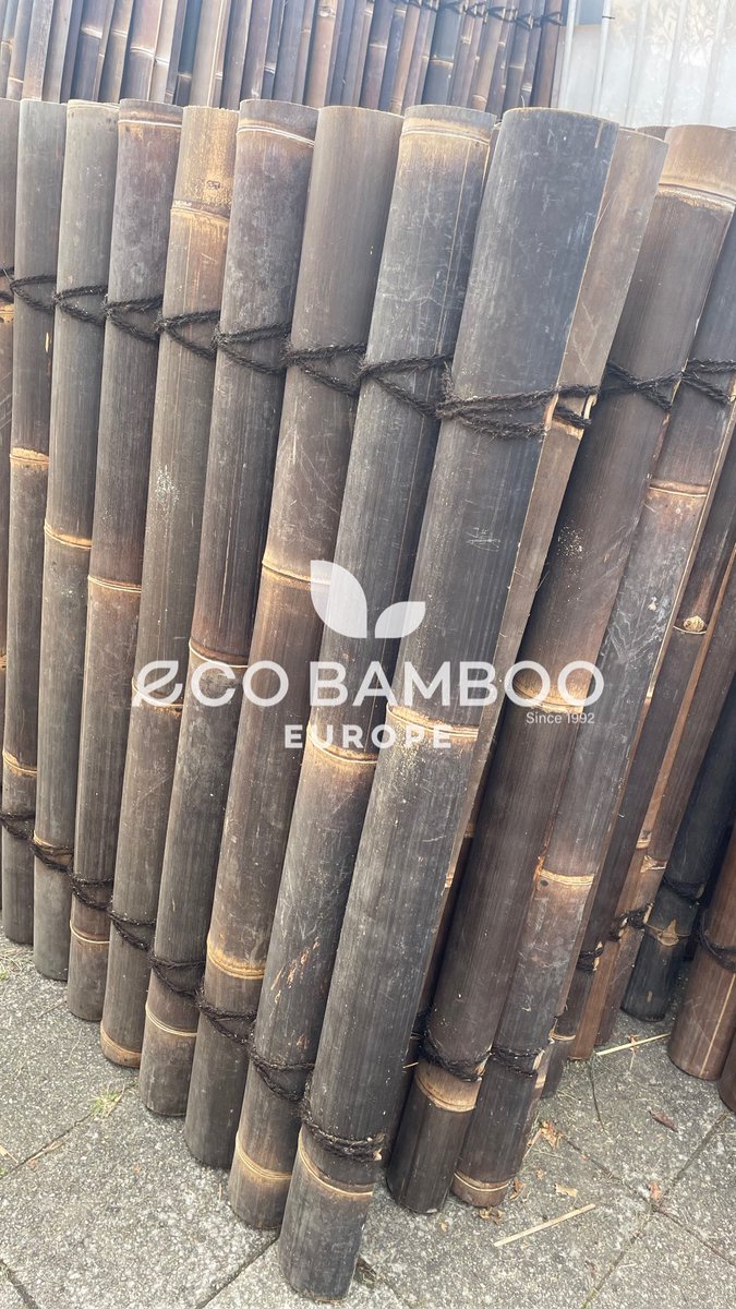 DeSplinter's tweet image. 📣 NET BINNEN – GIGANTISCHE BAMBOE-SALE BIJ DE SPLINTER! 🌿
📍 Industrieweg 121 – Terborg

120x90 cm ‼️ AANBIEDING ‼️

Vandaag gelost: een volle container vol supermooie bamboeschermen in alle populaire varianten:
🟢 Moso Bamboo
⚫️ Black Bamboo
💪 Super prijs