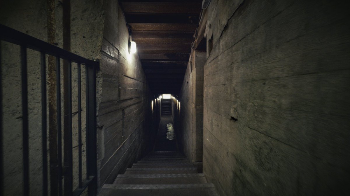 DCD Rights Ltd tweet media