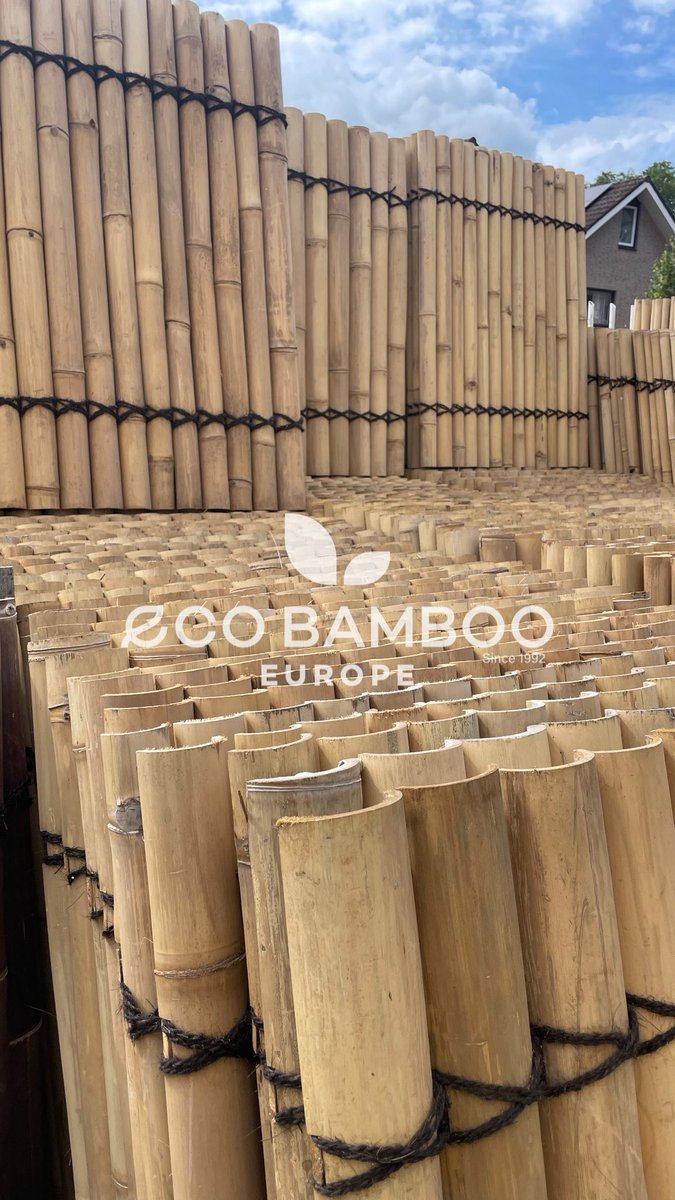DeSplinter's tweet image. 📣 NET BINNEN – GIGANTISCHE BAMBOE-SALE BIJ DE SPLINTER! 🌿
📍 Industrieweg 121 – Terborg

120x90 cm ‼️ AANBIEDING ‼️

Vandaag gelost: een volle container vol supermooie bamboeschermen in alle populaire varianten:
🟢 Moso Bamboo
⚫️ Black Bamboo
💪 Super prijs