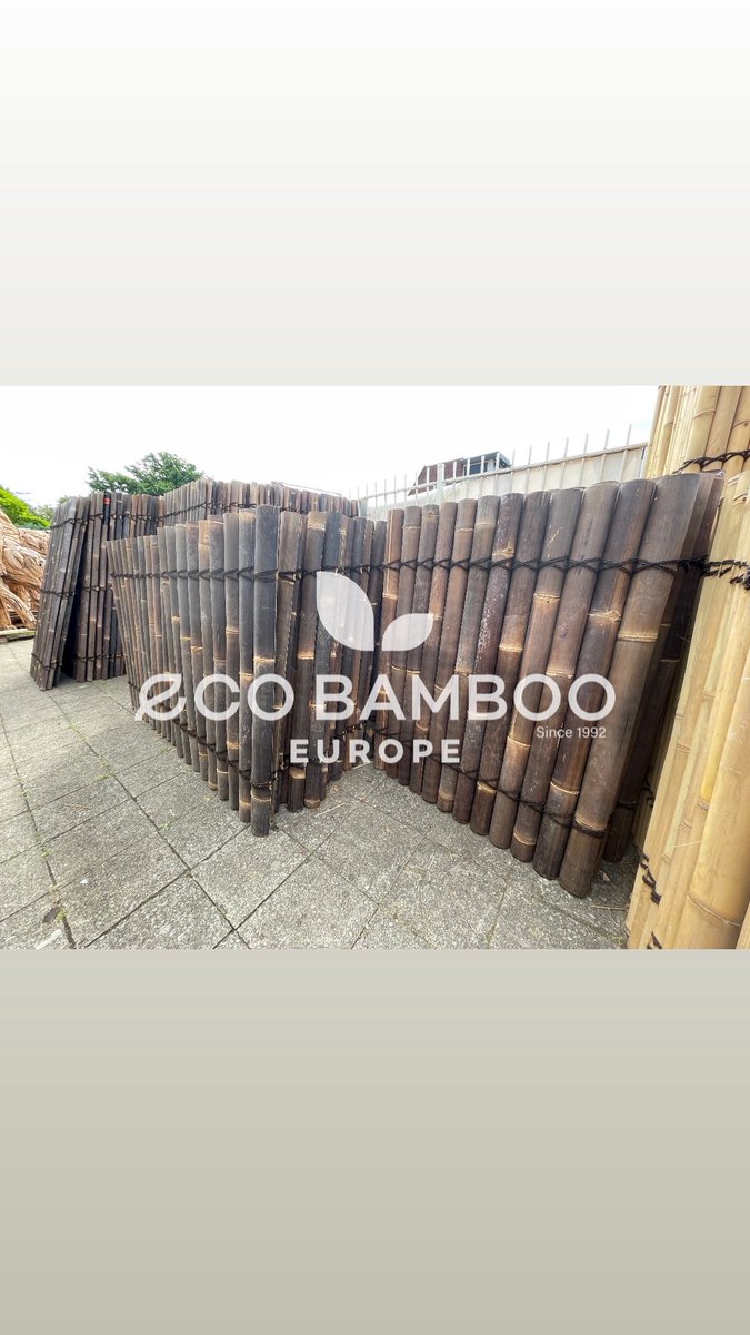 DeSplinter's tweet image. 📣 NET BINNEN – GIGANTISCHE BAMBOE-SALE BIJ DE SPLINTER! 🌿
📍 Industrieweg 121 – Terborg

120x90 cm ‼️ AANBIEDING ‼️

Vandaag gelost: een volle container vol supermooie bamboeschermen in alle populaire varianten:
🟢 Moso Bamboo
⚫️ Black Bamboo
💪 Super prijs