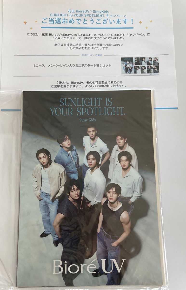 StrayKids スキズ ミニポスター9種1セット StrayKids スキズ ミニポスター9種1セット StrayKids スキズ
