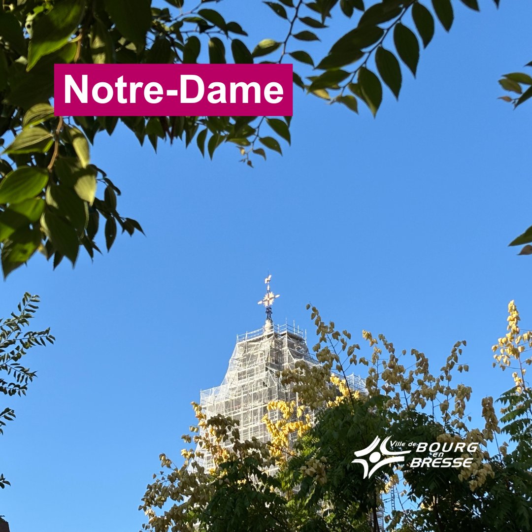 Notre-Dame
🤩Les travaux de restauration avancent bien, la flèche de Notre-Dame commence à se dévoiler…
👉Découvrez le chantier autrement avec le programme de médiation culturelle
🔗bit.ly/MediationNDBou…
Tout savoir sur le chantier de restauration
🔗bit.ly/BourgNotreDame