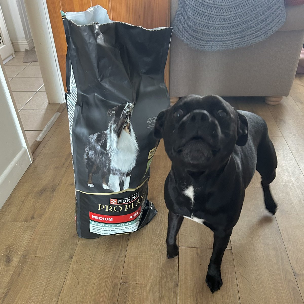 You may not know this about me, but I’m a VERY fussy eater - this got delivered this morning and I LOVE it - thanks <a href="/PurinaUK/">Purina UK & Ireland</a> for my new food, my parents are very happy 😊 #frank