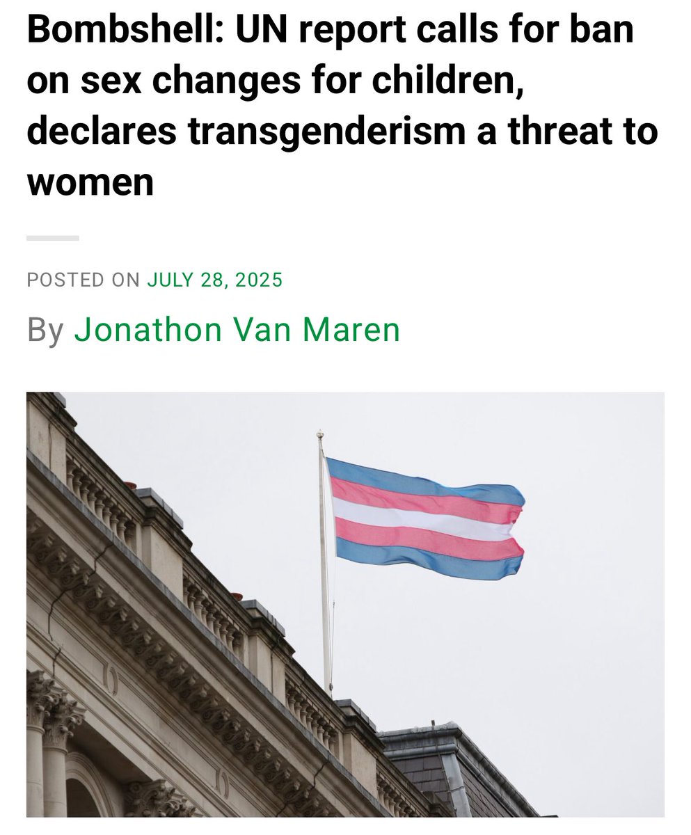 🚨 “There is a concerted international push to erase women and girls.”

UN Special Rapporteur @ReemAlsalem says gender dysphoria is “socially contagious” and calls on states to ban child transitioning and safeguard women’s rights.

thebridgehead.ca/2025/07/28/bom…