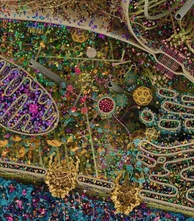 Atheists will tell you that a city is carefully designed, planned &amp; created. 

But a cell is not.