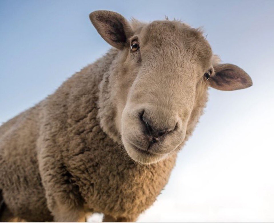 _voidrunner's tweet image. They say, observation is key and that’s what I’m doing. So how are you guy’s doing today?