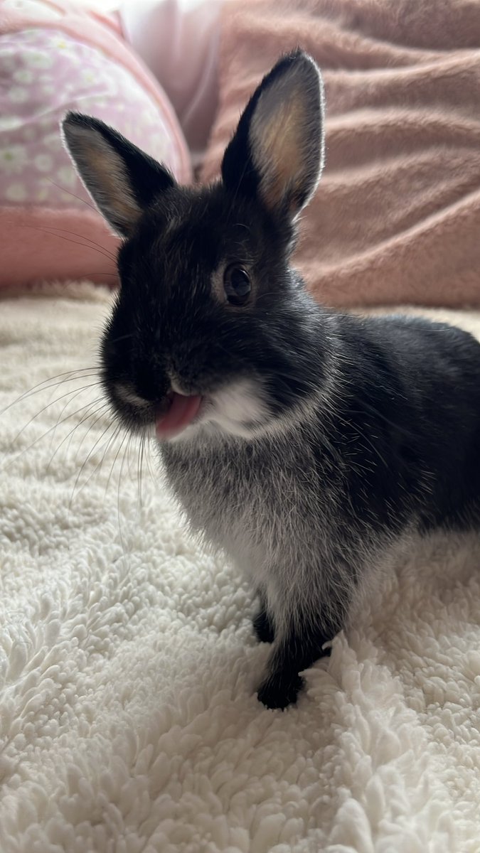 ⋆｡‧˚ʚ eleanor ɞ˚‧｡⋆ tweet media