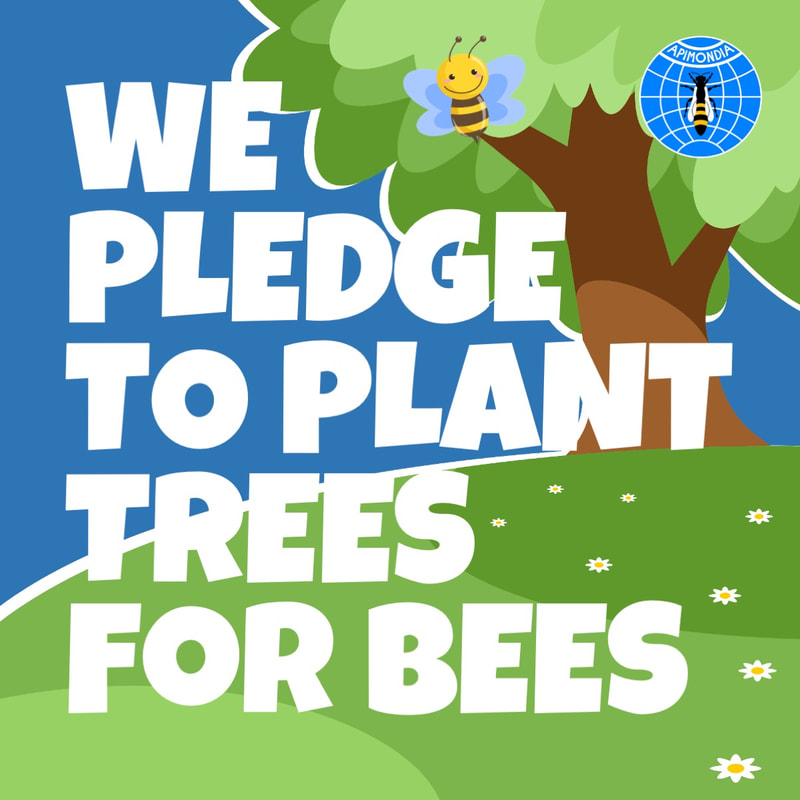 Join our campaign to plant trees for ​pollinators, people  and the planet
#TreesForBees

🌳apimondia.org/trees-for-bees…