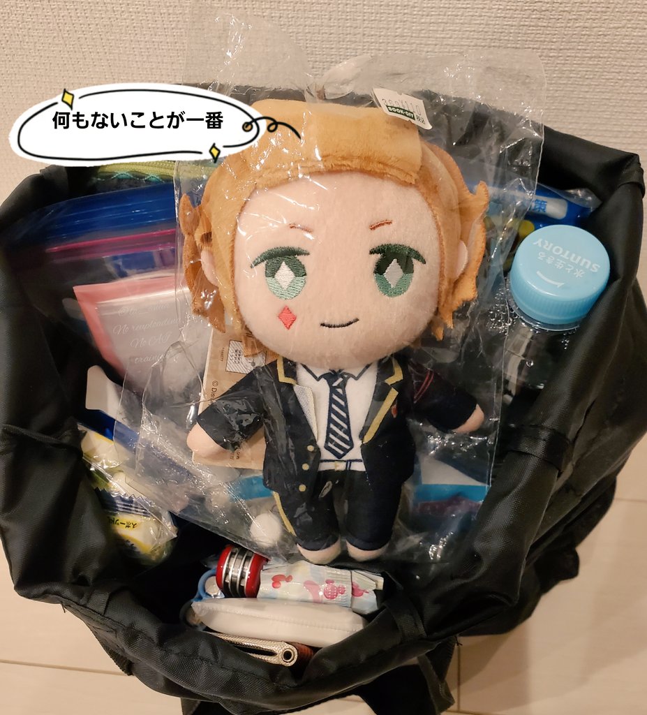 やんじ/ぬい🧵 (@plumu1q_VAV) / Posts / X