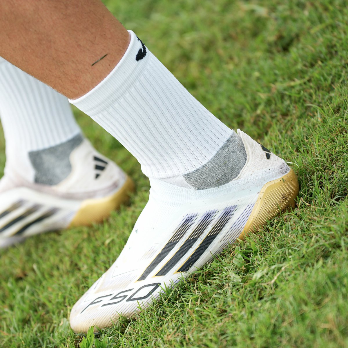 Just the beggining🧡💙