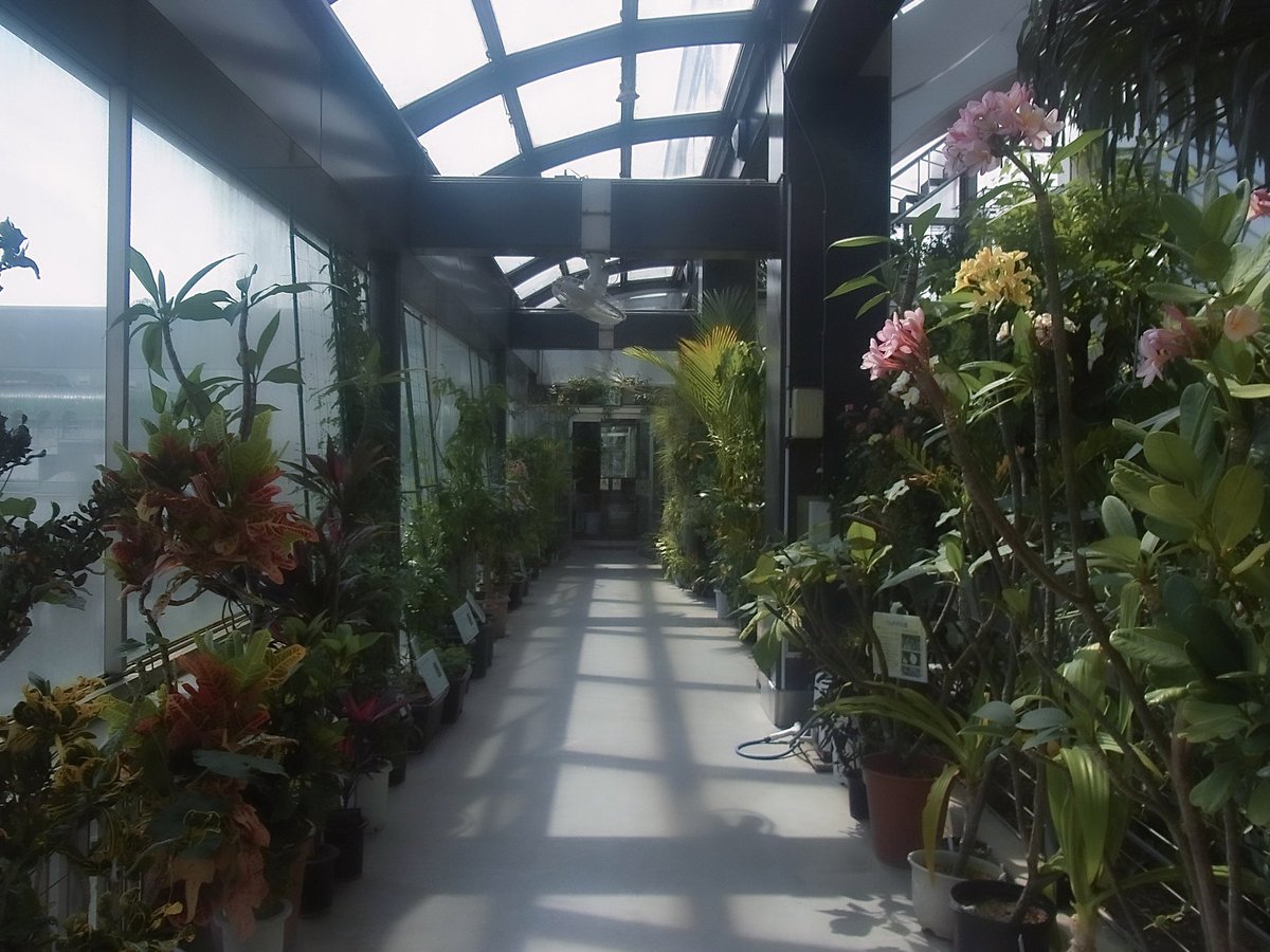 #6 (@nnuf22) on Twitter photo 