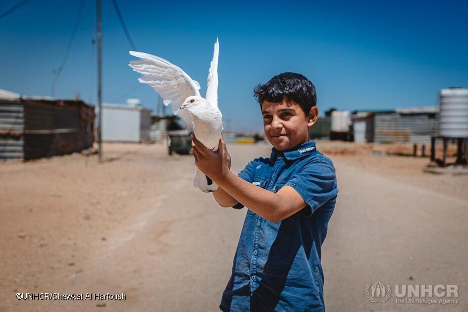UNHCR Germany (@unhcr_de) on Twitter photo Selbst inmitten von Vertreibung und Unsicherheit erhebt sich die Hoffnung in die Lüfte. 🕊️
„Meine Taube Nouri bedeutet mir sehr viel.“
– Abdulkarim, ein 11-jähriger syrischer Flüchtling im <a href="/ZaatariCamp/">Za'atari and Azraq Refugee Camps</a>. Selbst inmitten von Vertreibung und Unsicherheit erhebt sich die Hoffnung in die Lüfte. 🕊️
„Meine Taube Nouri bedeutet mir sehr viel.“
– Abdulkarim, ein 11-jähriger syrischer Flüchtling im <a href="/ZaatariCamp/">Za'atari and Azraq Refugee Camps</a>.