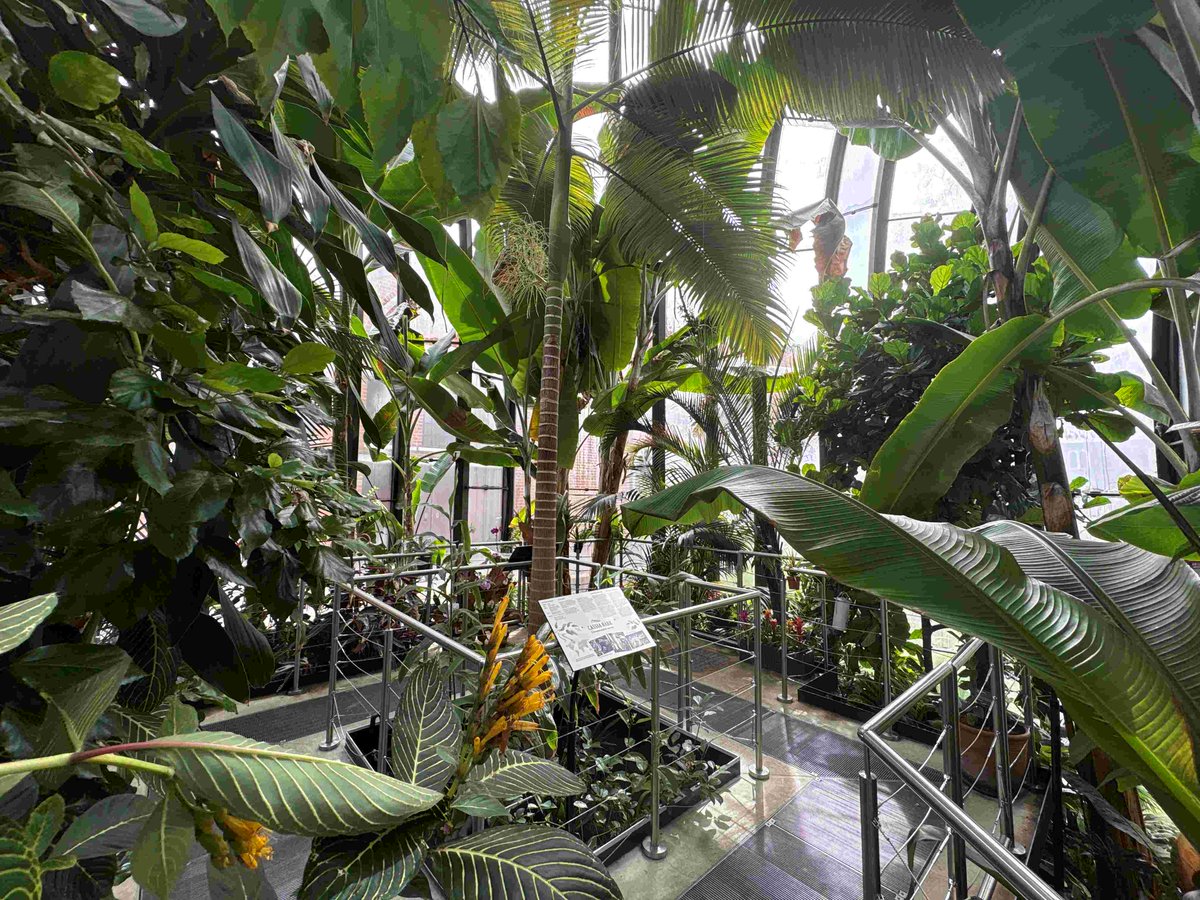 plants_atwork's tweet image. Exciting news! #BotanicaNurseries has joined #BombaySapphire Distillery’s “Botanical Journey” at #LaverstokeMill. The were appointed to provide the ongoing maintenance of the stunning Tropical and Mediterranean glass houses.
plantsatwork.org.uk/index.php/item…