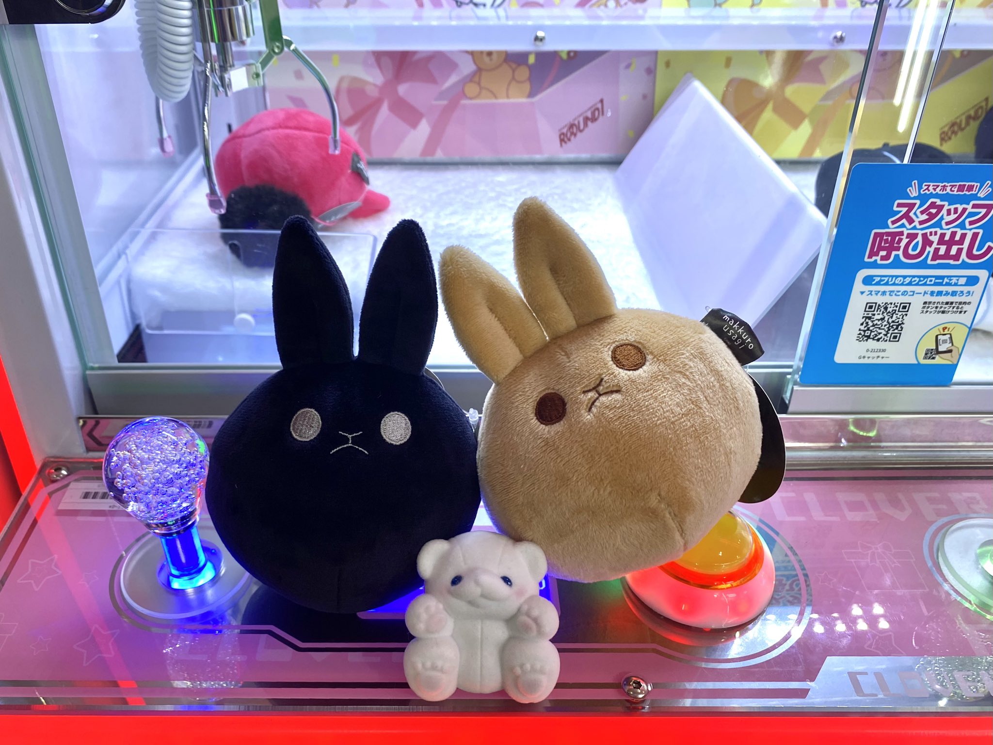 ♡オーダーページ♡ 【④あにまる(可愛♡)】 可愛すぎる動物 の Pinterest ボード：「あにまる」のアイデアが