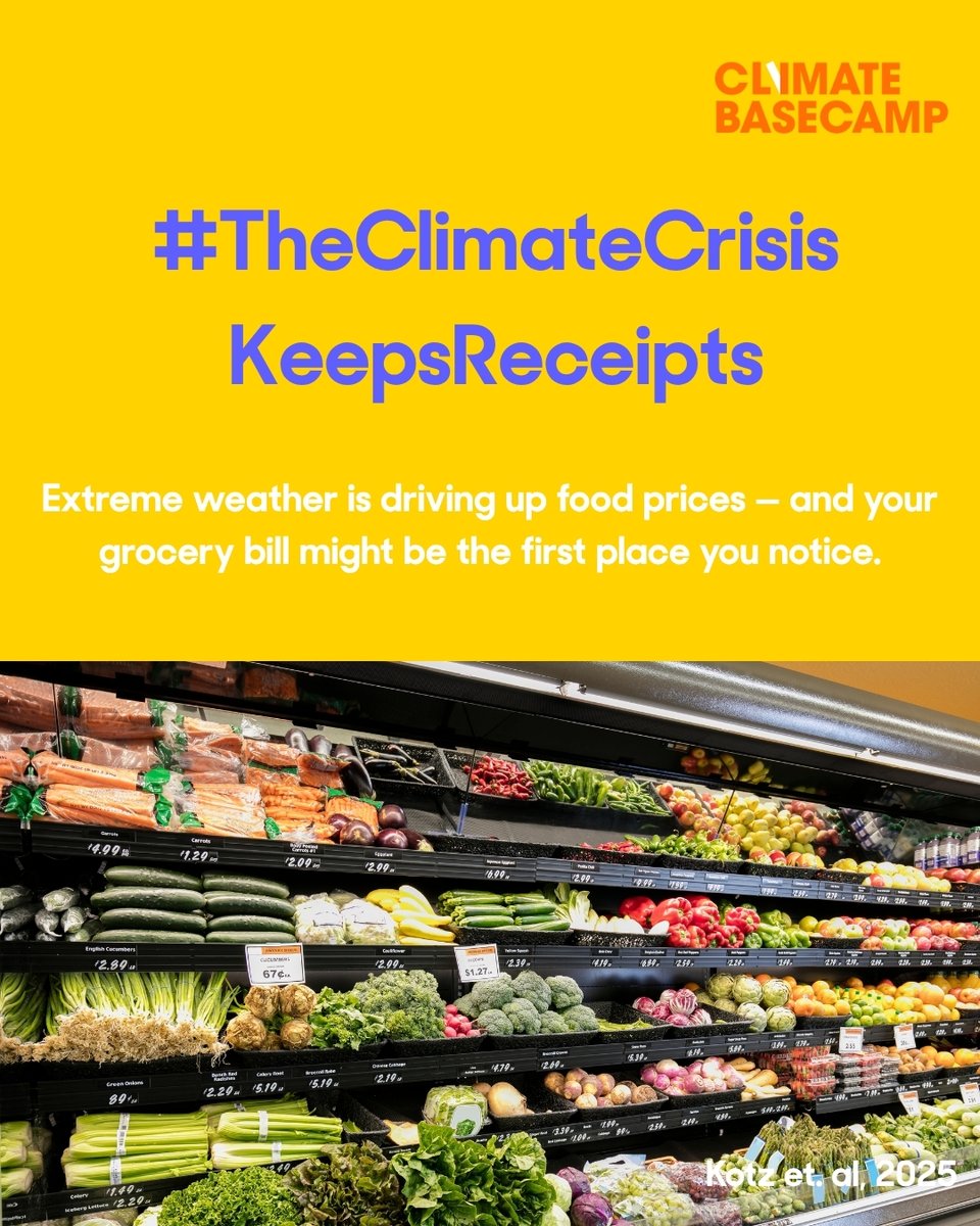 Climate Basecamp tweet media