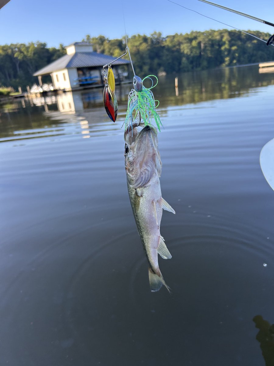 EPEDtogether's tweet image. First kayak bass catch of the year
