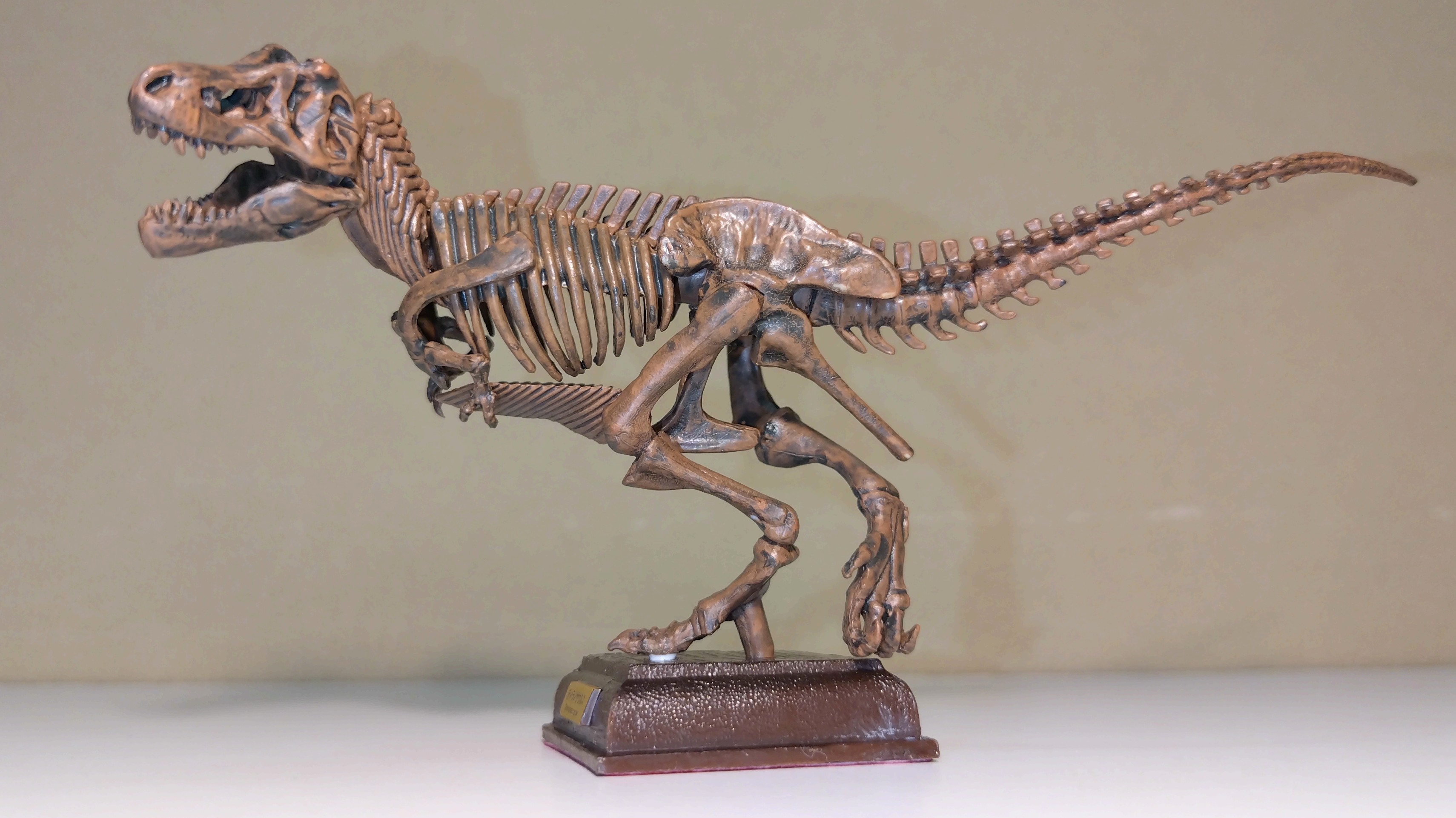 ネイチャーテクニカラー　古生物　台座シリーズ　ガチャガチャ　骨格　恐竜 NTC 古生物 – ネイチャーテクニカラー公式