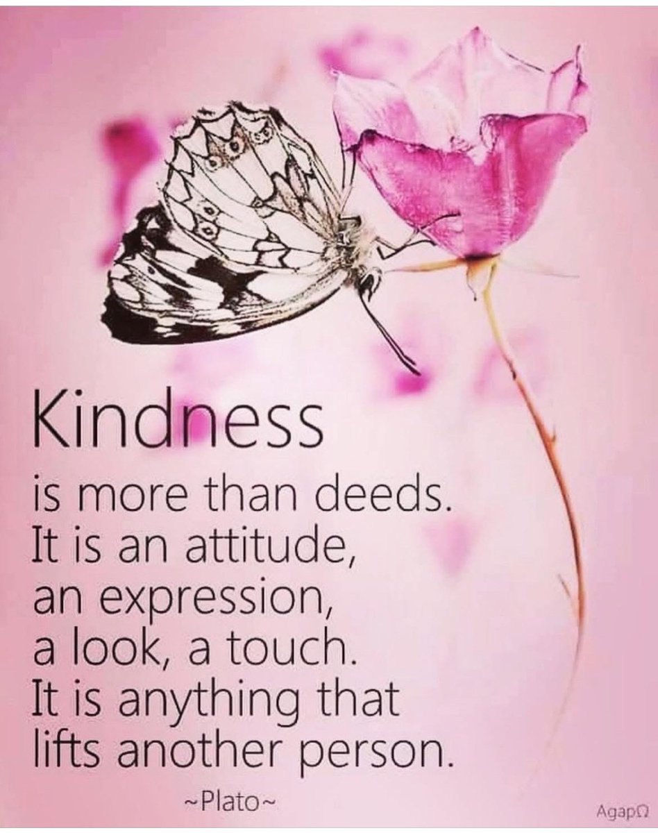 If can be anything we want, let’s be kind 💞✨💞 

Kindness comes from the heart. 

Those that cause us challenges are often the people that need love and kindness the most. 🙏🏻 

#kindnessmatters
