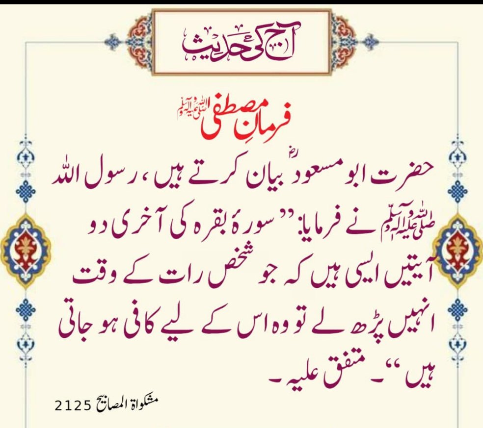 *السلام وعلیکم*🌹🌹

*شام بخیر*🪷🪷