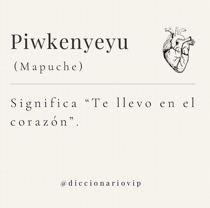 Diccionario VIP (@diccionariovip) on Twitter photo 