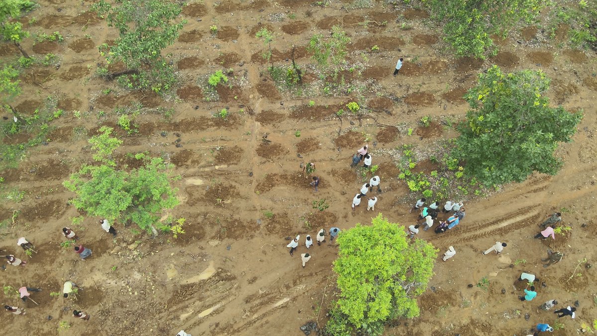 Greening initiatives are vital for Environmental Sustainability and combating Climate Change. Mass Plantation Drive in Kunjam RF in presence of MLA, Pallahara, Kunjam Eco-Club, PRI Members, Local Villagers <a href="/CMO_Odisha/">CMO Odisha</a> <a href="/ForestDeptt/">Odisha Forest, Env. and Climate Change Department</a> <a href="/pccfodisha/">PCCF & HoFF Odisha</a> <a href="/PCCFWL_Odisha/">PCCF WL & CWLW, Odisha</a> <a href="/RourkelaRc79045/">RCCF Rourkela</a>