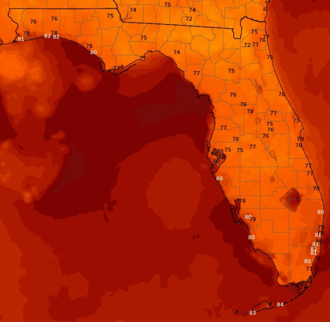 7 a.m. Wednesday, July 30, 2025
Good morning. Temperatures🌡range from 71 in Eddy to 87 in Cedar Key. What is the temperature where you live this morning?
