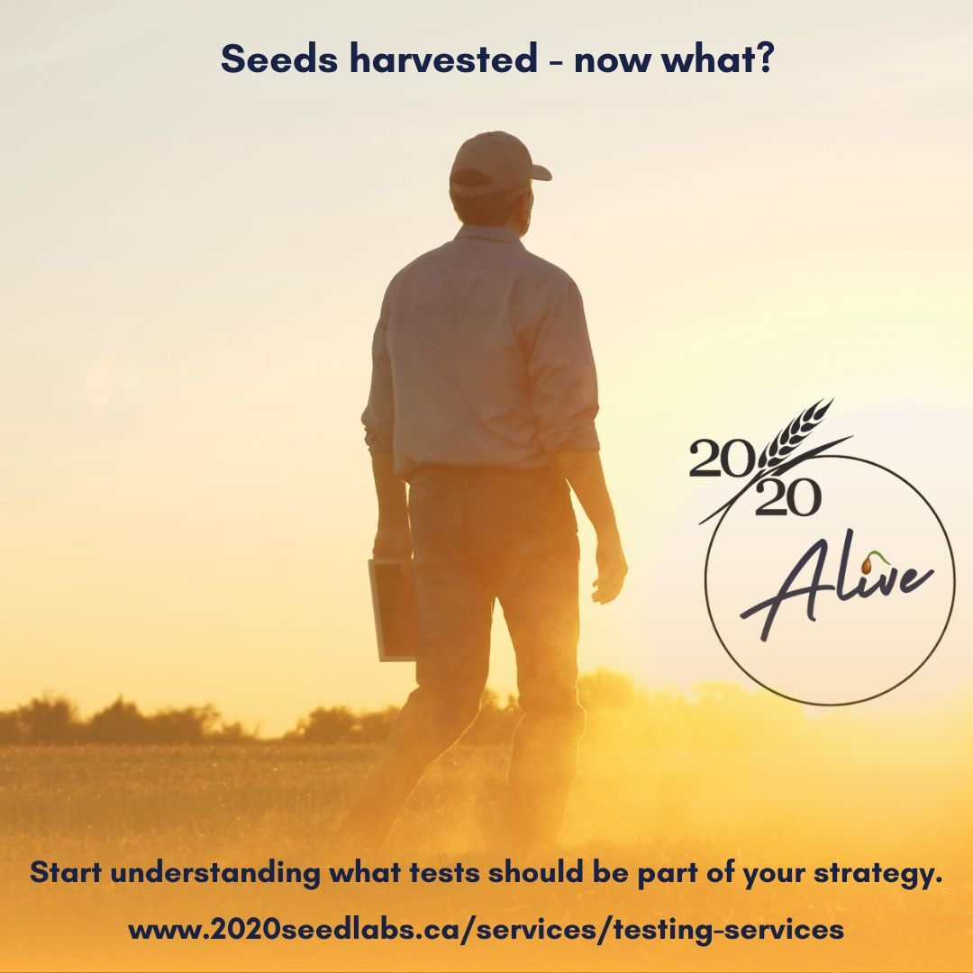 What tests should be part of my core strategy?

You need to know if your seed is clean, viable, and safe to plant or sell. 

We know that costs can add up quickly, that's WHY we have exclusive rates and custom packages with core tests bundled together. 2020seedlabs.ca/our-pricing