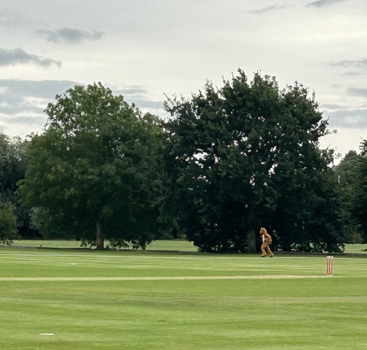 Four debutants on tour next week…..hope the fitness levels are good!