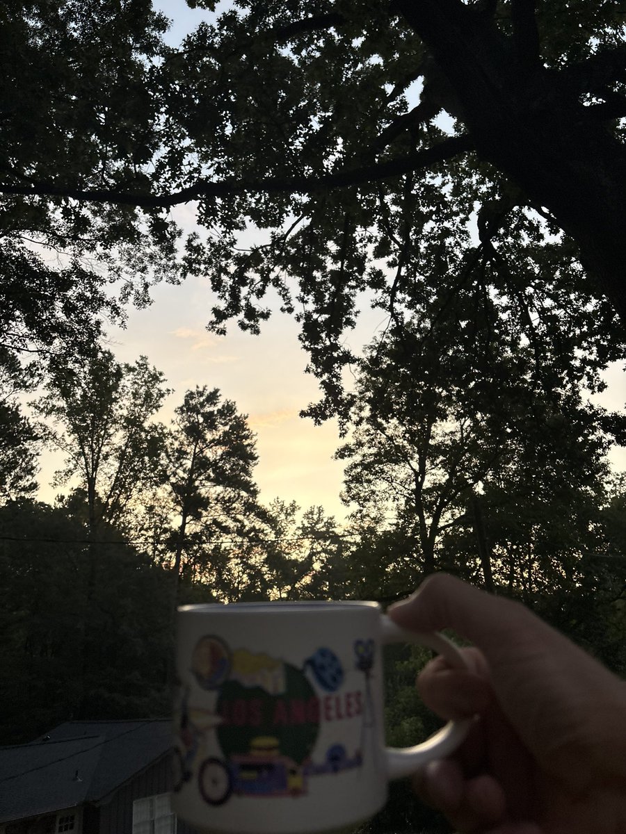 Bama26Point2's tweet image. Good morning! Back in Bamaland * 75°F at sunrise 5:58am * and another heat advisory day * it’s a short stay as my cup hints at where I’m headed later today #javajunkie #biztravel