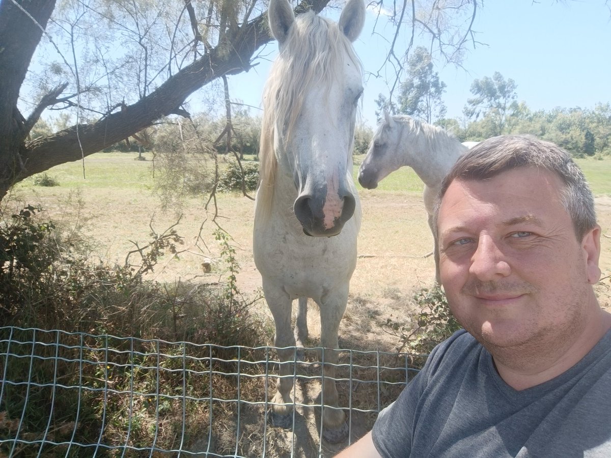 Une petite déconnexion quelques jours, je commence à me faire des amis en Camargue ❤️