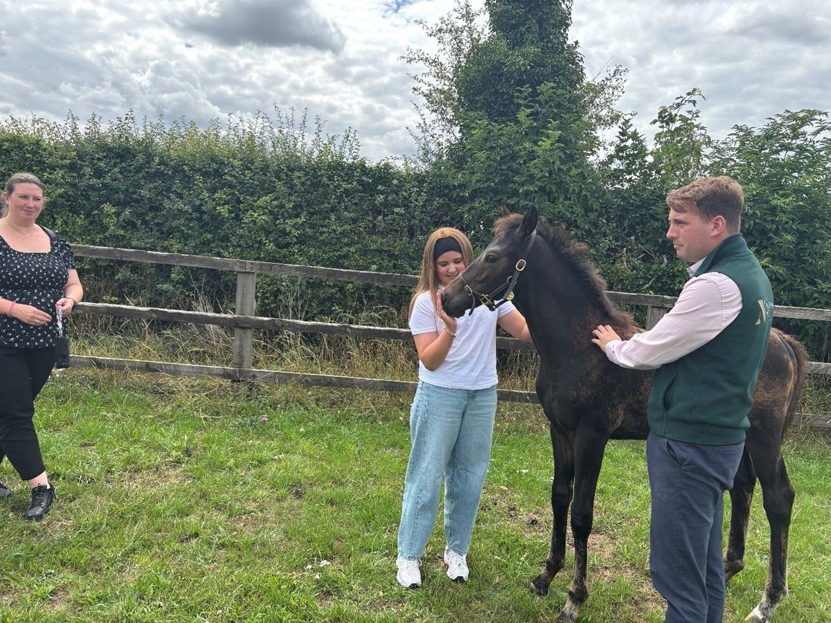 ⁠Do you know someone who loves horses? We have some incredible equestrian days planned over summer where guests will enjoy an exclusive look behind the scenes just like a horse trainer! 

Do you have someone in mind? barriewellstrust.org/nominate-a-chi…