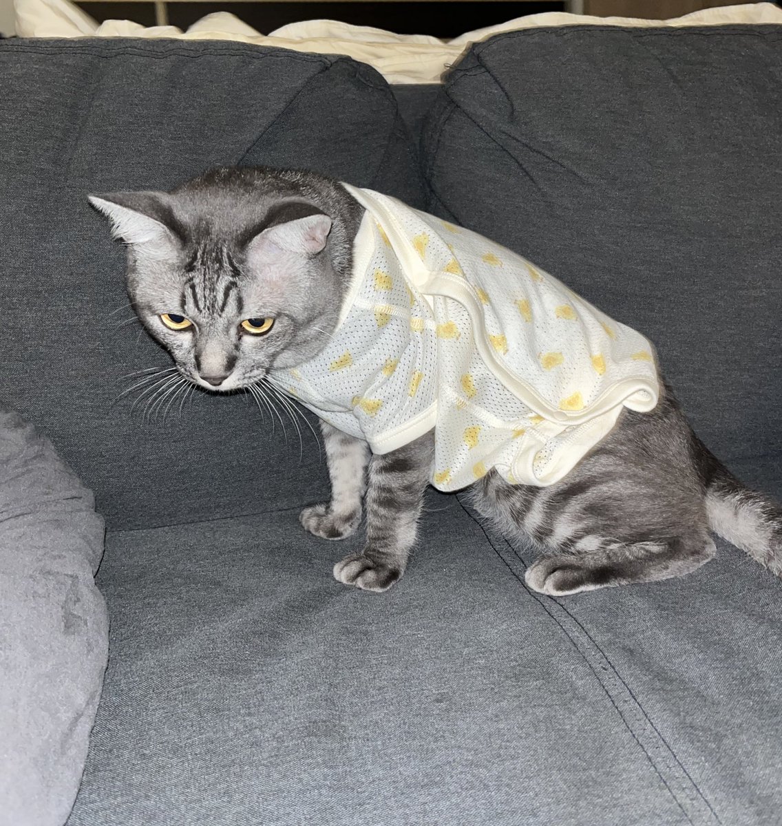 คลอดมากับมือเลยคับ😌