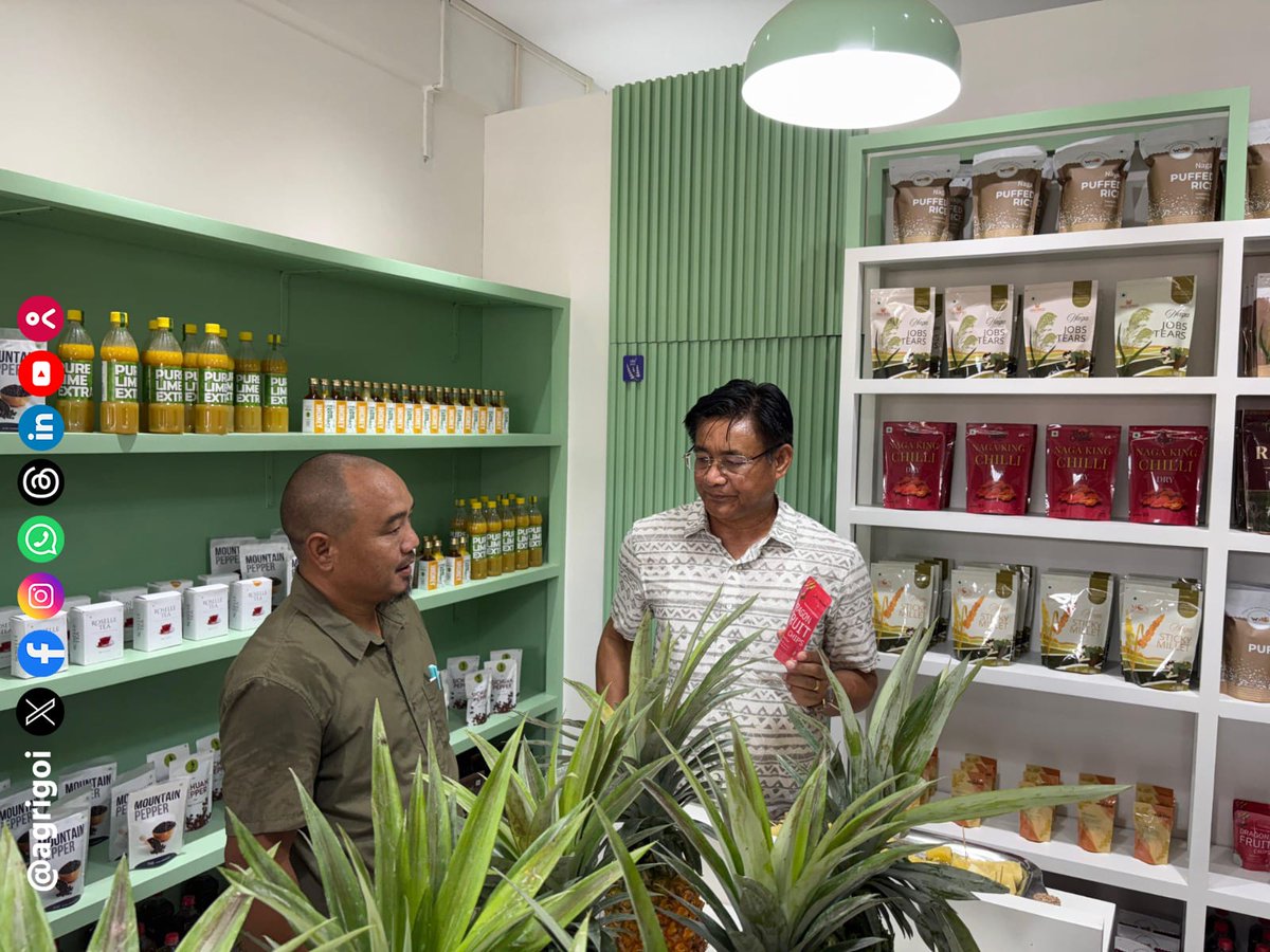 AgriGoI's tweet photo. Empowering 500 farmers, transforming 200 hectares — #Nagaland’s Dimapur Spices Producer Company Ltd. is redefining organic farming!
Since 2021, under the #MOVCDNER scheme, this FPC has boosted cultivation of ginger, mustard, sunflower, king chilli, and perilla. With its own cold-press oil unit and a strong retail push, it’s bringing high-quality organic oils to local markets and securing better incomes for farmers.
Now, with support from the Oilseed Mission and NMEO-OS, the FPC is scaling up with improved seeds and processing facilities — setting a benchmark for farmer-led, sustainable Agri-growth.
#AgriGoI #Agriculture #NMEO_OS