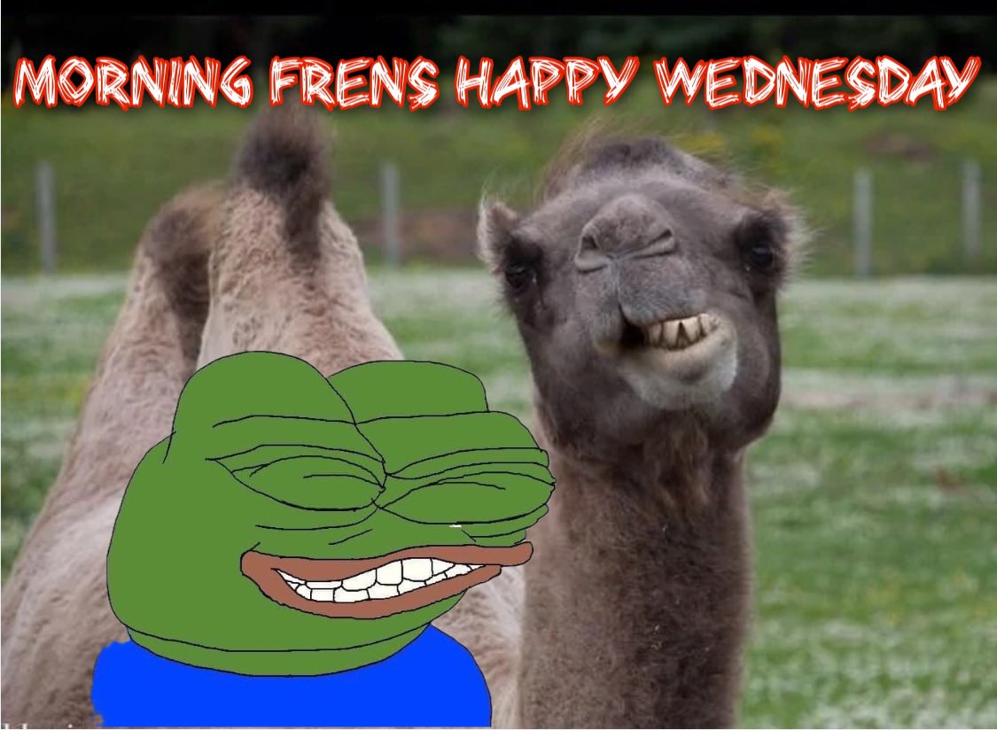 GM